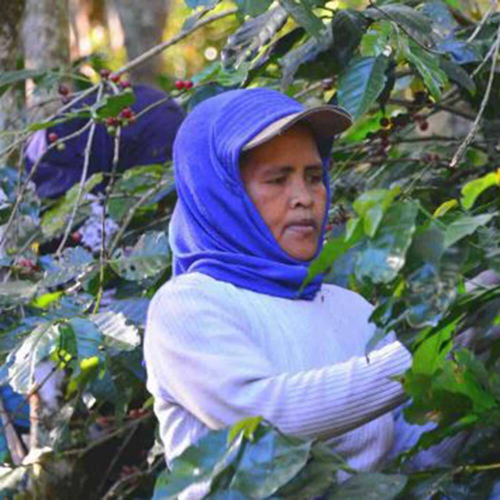 Royale Coffee Company