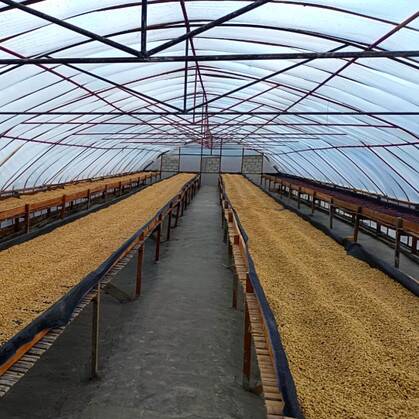 Sumatra, Weh Llang Gayo, Medium/Dark Roast, Whole Bean and Ground Coffee - Image 2