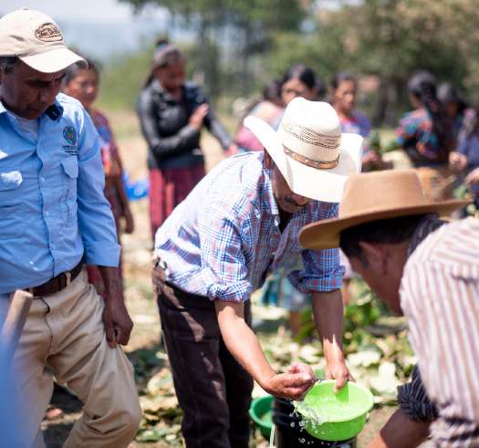 Guatemala, Huehuetenango Region - Medium Roast - Image 2